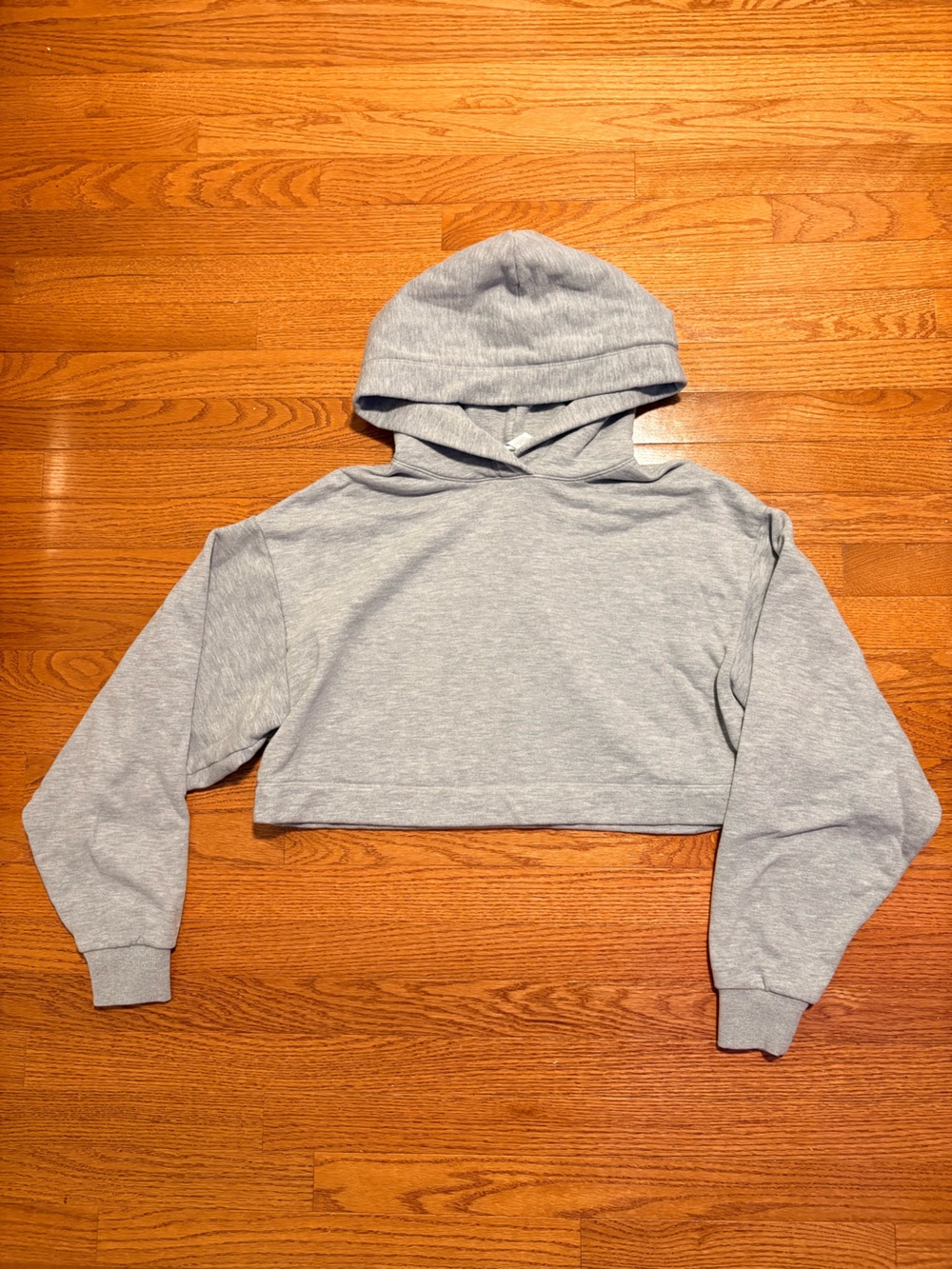 ALO Yoga Light Gray Cropped Hooded Sweatshirt